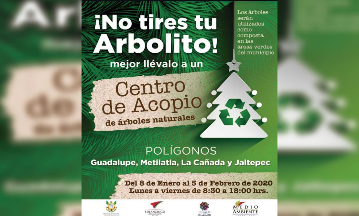 Iniciarán campaña para recolección de árboles navideños en Tulancingo