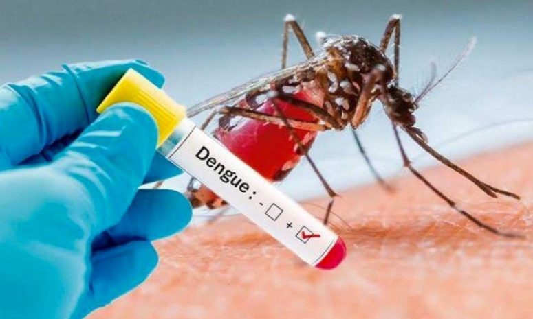 Alertan por 42 casos de dengue en Hidalgo este 2025
