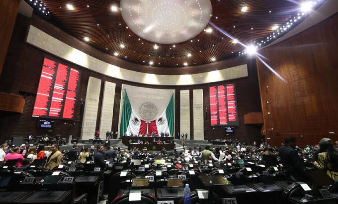 cámara de diputados