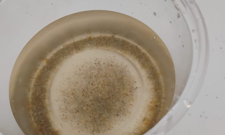 Habitantes de Pachuca denuncian agua turbia; Caasim no da respuesta