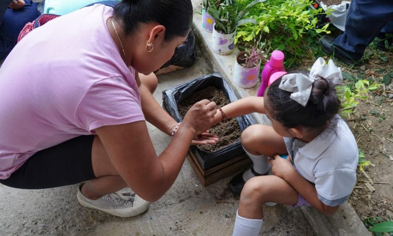 Centro Pilares DIF impulsa huertos familiares en Huejutla