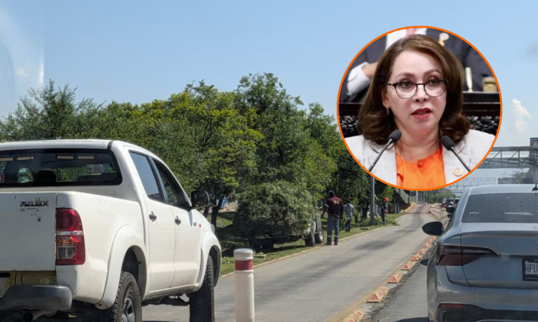 Cuestionará diputada del PAN tarifas de taxis y carril exclusivo del Tuzobús